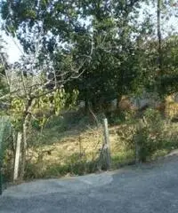 Casa indipendente in Vendita a 85.000