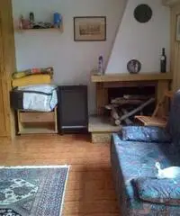 Appartamento di 1 locali in Affitto