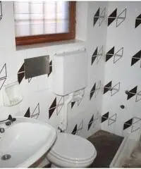 21531030-51 - Montegrino Valtravaglia affittasi laboratorio