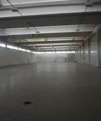 Affitto Capannone in via del commercio