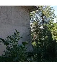 Industriale/Artigianale in vendita a Longare