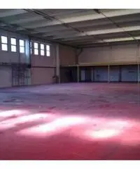 Vendita Capannone da 1315mq