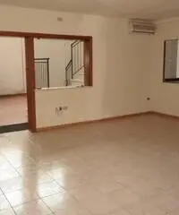 Vendita Capannone in Viale dell'Economia