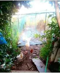 Vendita laboratorio mq. 50 - Zona Fellette