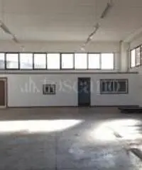 Vendita Capannone in Via dell'Agricoltura