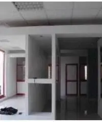 Vendita Capannone in Strada Statale Arceviese, snc