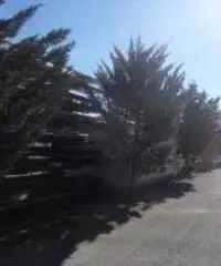 Vendita Capannone in Via A. de Gasperi, snc - Contrada Pesco Farese