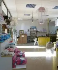 Vendita Capannone in Via Bugnano