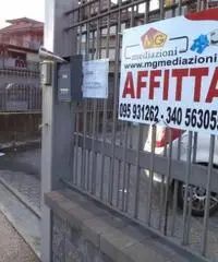 Affitto Magazzino in Via Carrata
