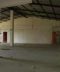 Chieti Scalo: Affitto Capannone da 400mq