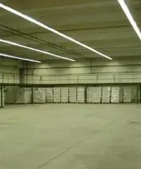 Affitto Capannone da 1300mq