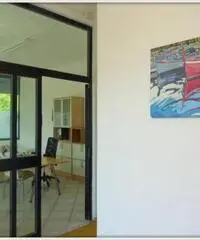 Rif: 915/16 - Capannone in Vendita a Binago