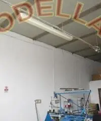 CAPANNONI MAGAZZINI - ARTIGIANALE - CAMPI BISENZIO