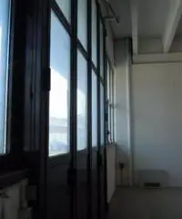 Viottolone: Affitto Capannone in Viale Europa