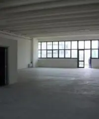 Viottolone: Affitto Capannone in Viale Europa