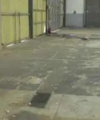 Capannone in Vendita a Cesena