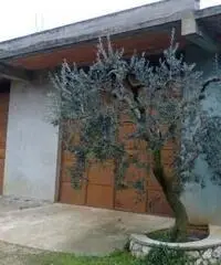 Rif: 85 - Magazzino in Vendita a Rocca Massima