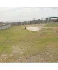 Vendita Capannone da 260290mq