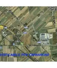 Capannone industriale in vendita a RIOTORTO - Piombino 4500 mq Rif: 152048
