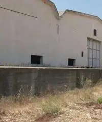 capannone industriale in vendita Ferrandina