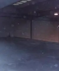 Affitto Capannone da 1570mq