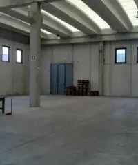 Affitto Capannone da 600mq