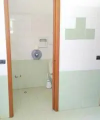 Centro: Affitto Capannone in Via Mario Idiomi