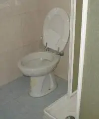 Limito: Affitto Laboratorio in Via Romagna