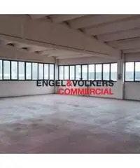 Mazzo: Vendita Capannone in Via Moscova