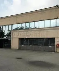 Passirana: Affitto Capannone