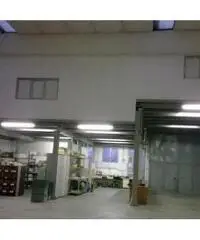 Vendita Capannone da 740mq