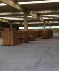 Vendita Capannone in Capannone in vendita via Guido Rossa, Liscate