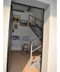 Vendita Capannone in Via Isaac Newton