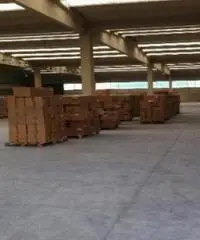 Vendita Capannone in Via Guido Rossa