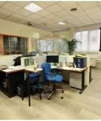 Vendita Capannone da 6000mq