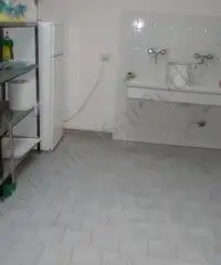 ACM1057 - Capannone a Soliera