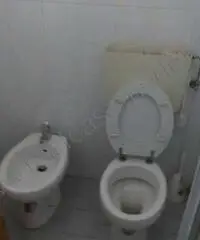 ACM1057 - Capannone a Soliera