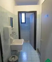 Affitto Capannone da 290mq