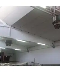 Affitto Capannone in Via Geminiola