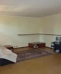 Vendita Capannone in via cadore, Carpi,It