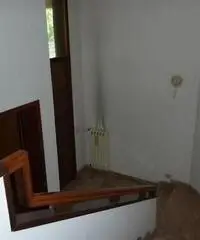 Vendita Capannone in via cadore, Carpi,It