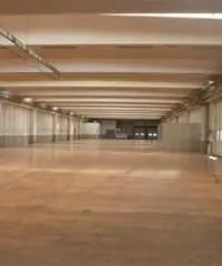 Affitto Capannone da 4200mq