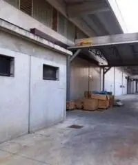 Affitto Capannone da 6000mq