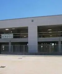 Vendita Capannone da 1300mq