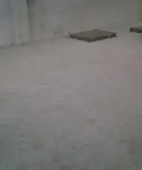 Vendita Capannone in strada boschi