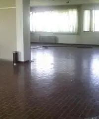 Vendita Capannone in Viale della Repubblica