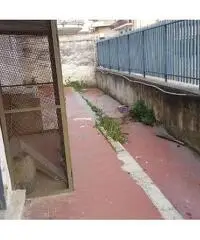 RifITI 019-24768 - Capannone Industriale in Affitto a Mugnano di Napoli di 200 mq