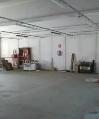 Capannone a Albignasego - Rif. V812