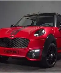 Acquisto Microcar AIXAM JDM CHATENET LIGIER anche incidentate.