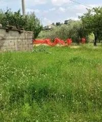 Mosciano SantAngelo: Terreno Altro